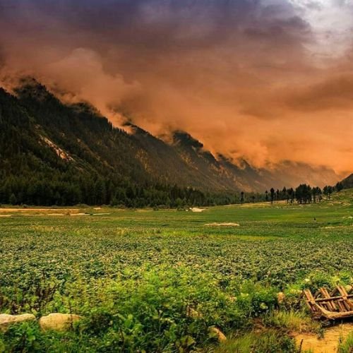 listing-details-carousel